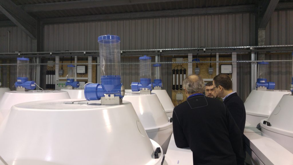 Photograph of experimental tanks in the recirculated aquaculture system at the Buckieburn aquarium