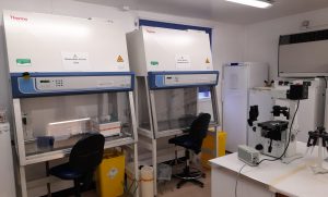 Virology laboratory