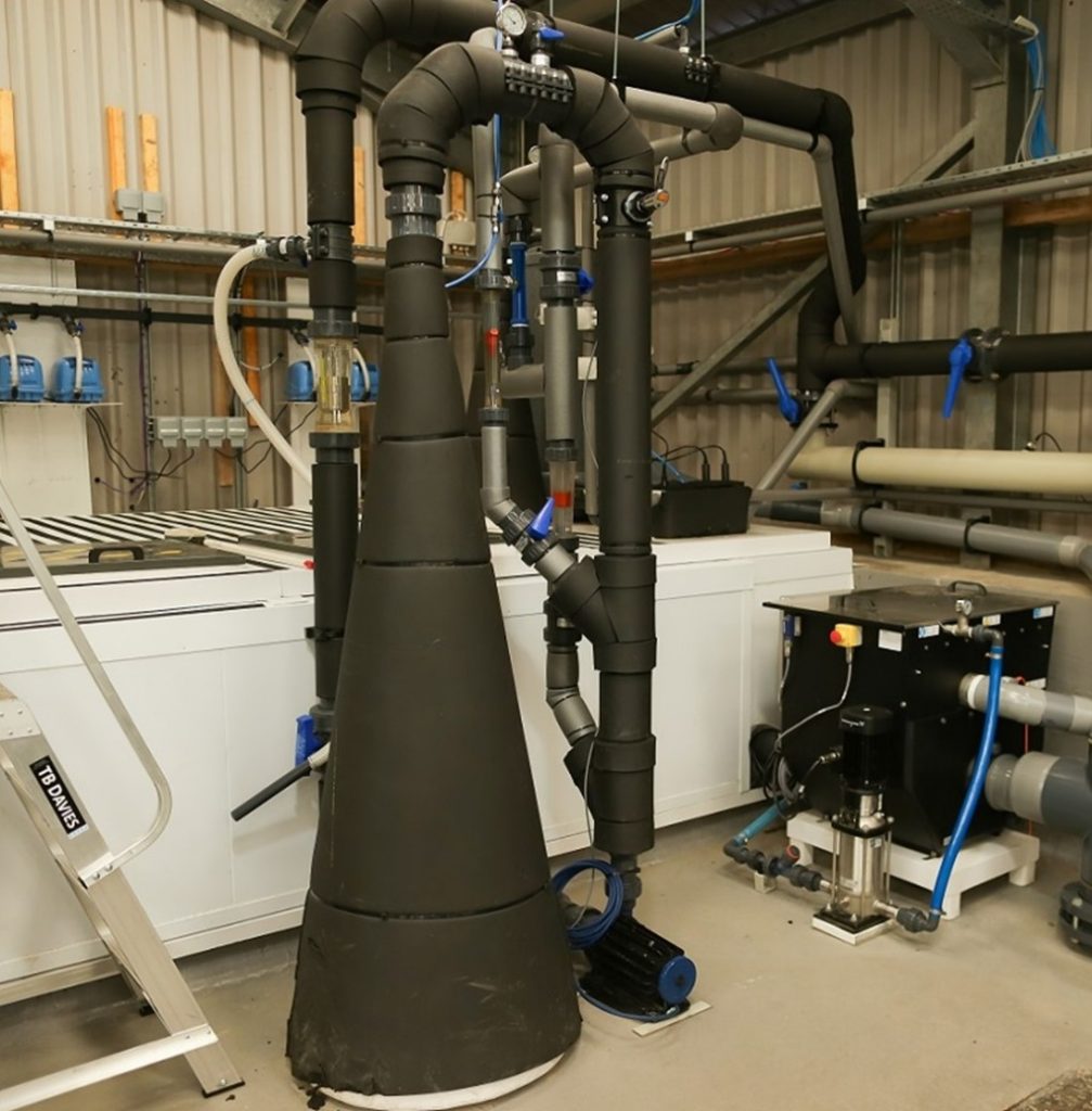 Photograph of the RAS treatment equipment including screen and biofilters and oxygenation cone