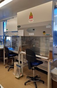 Cell Culture Cabinets